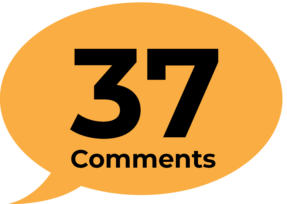 37 public comments about safety.